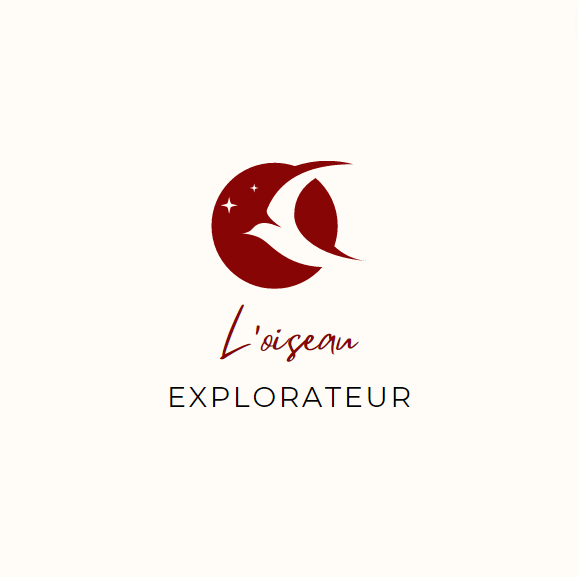L'oiseau explorateur